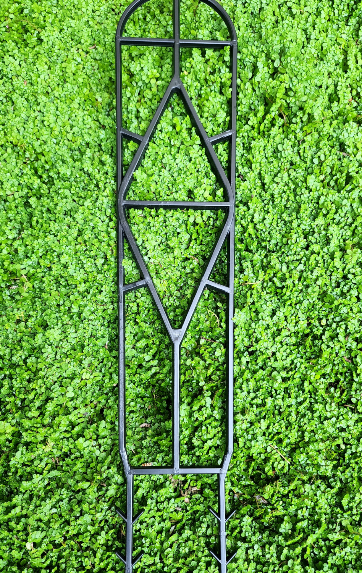 Plant trellis