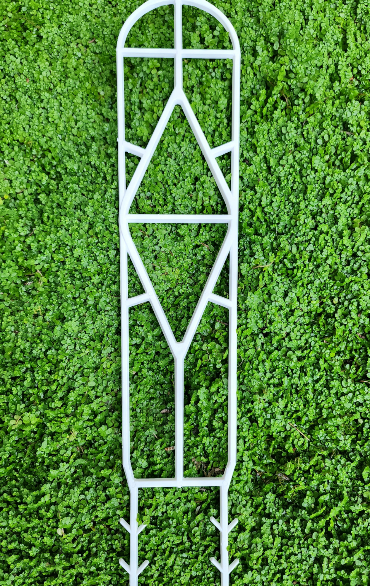 Plant trellis