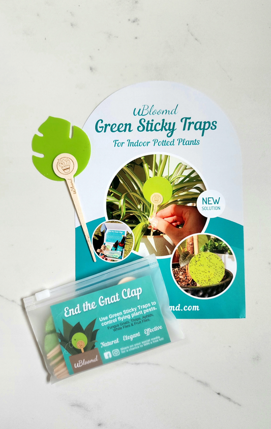 Ubloomd Fungus Gnat Traps